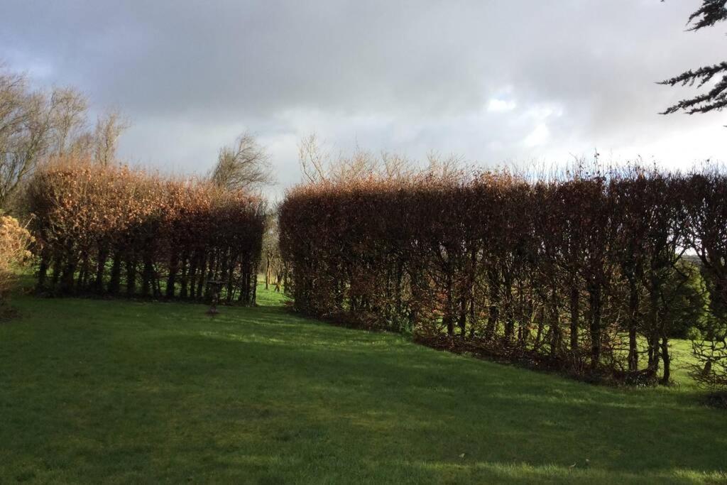 Willa Okewoon Farm Lanivet Zewnętrze zdjęcie